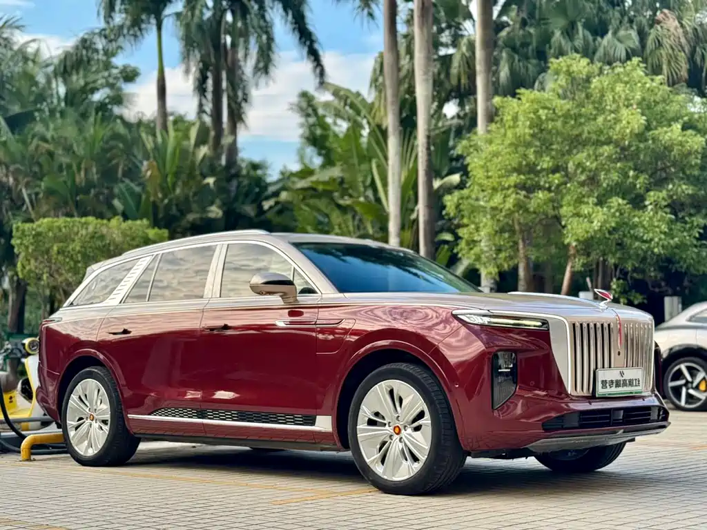 Hongqi Hongqi E-HS9 — миниатюра 3
