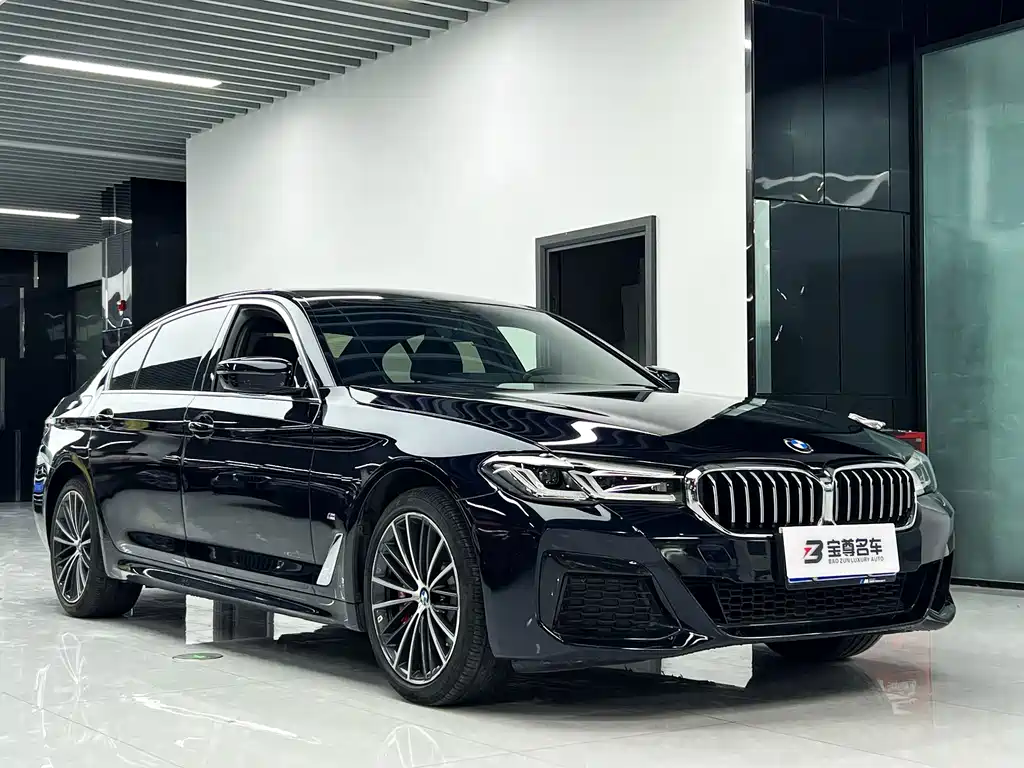 BMW 5 Series — миниатюра 2