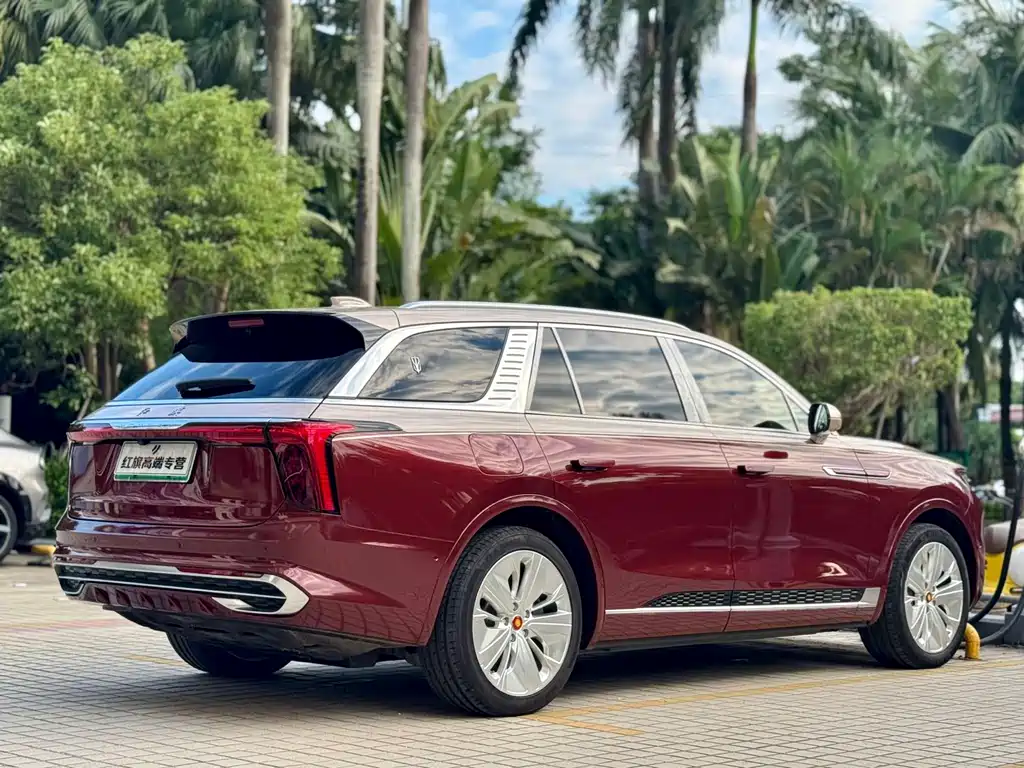 Hongqi Hongqi E-HS9 — миниатюра 20