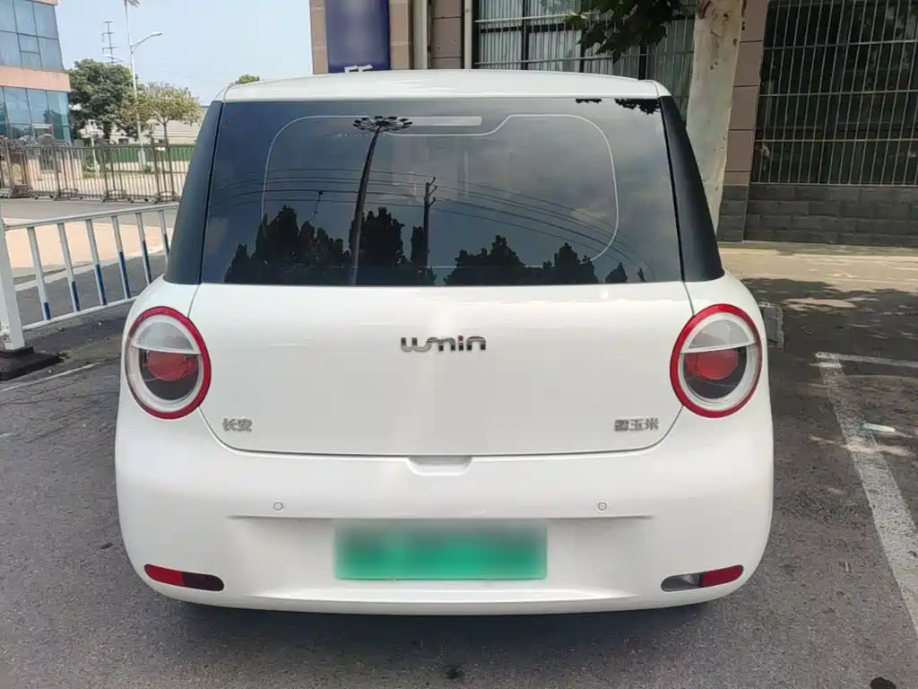 Qiyuan Lumin — миниатюра 6