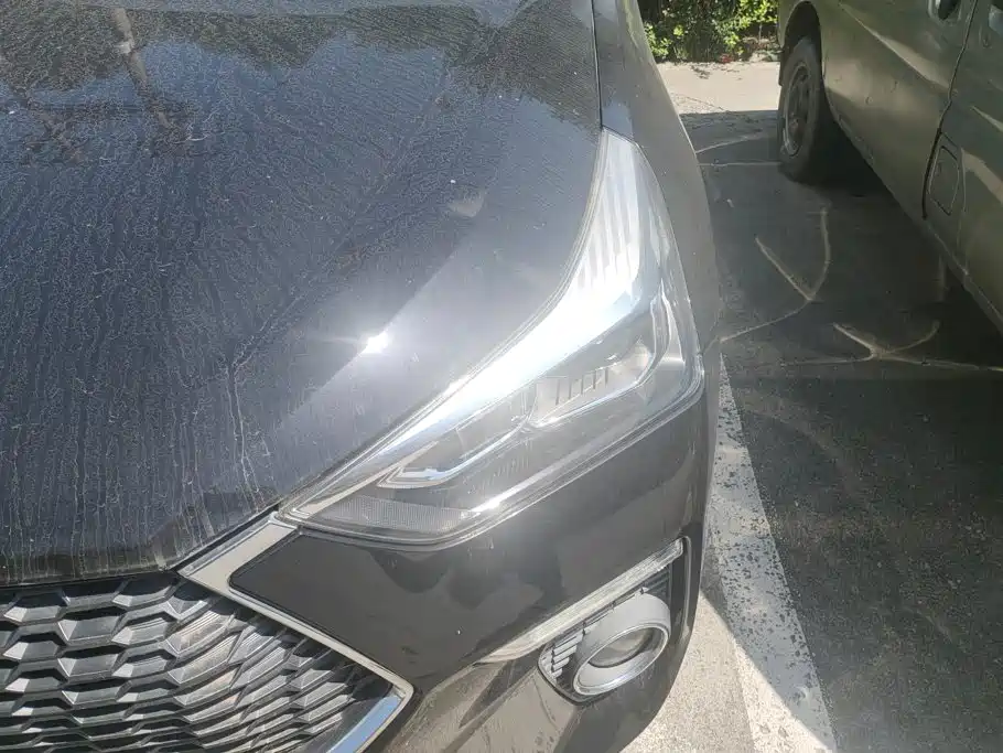 Haval H6 Coupe — миниатюра 5