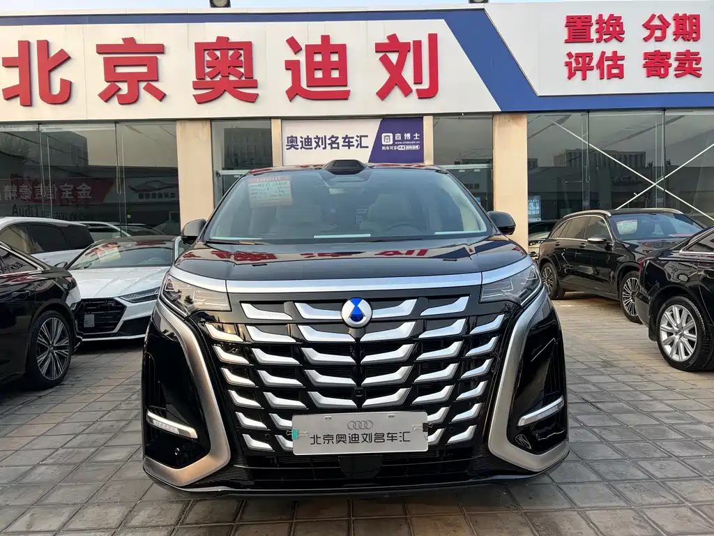 Denza Denza D9