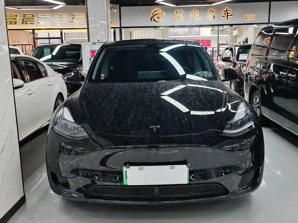 Tesla Model Y — миниатюра 2