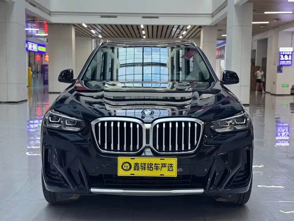 BMW X3 — миниатюра 2