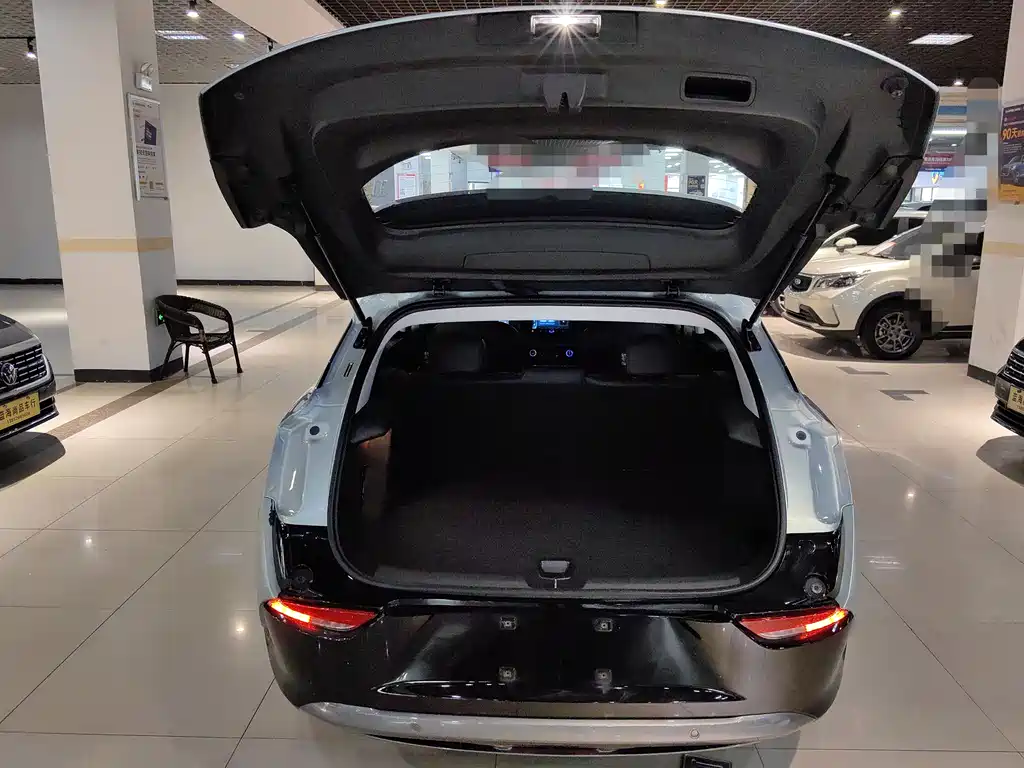 BUICK SLIGHTLY BLUE 6