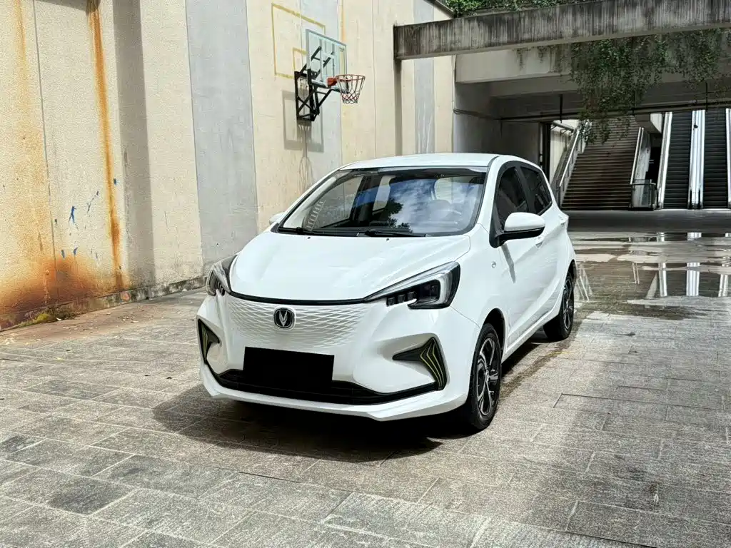 2021 Changan Benni EC/EV - zdjęcie 1 z 9