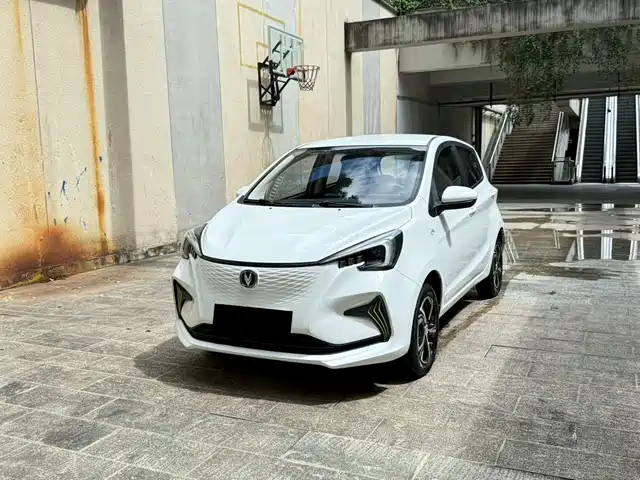 2021 Changan Benni EC/EV