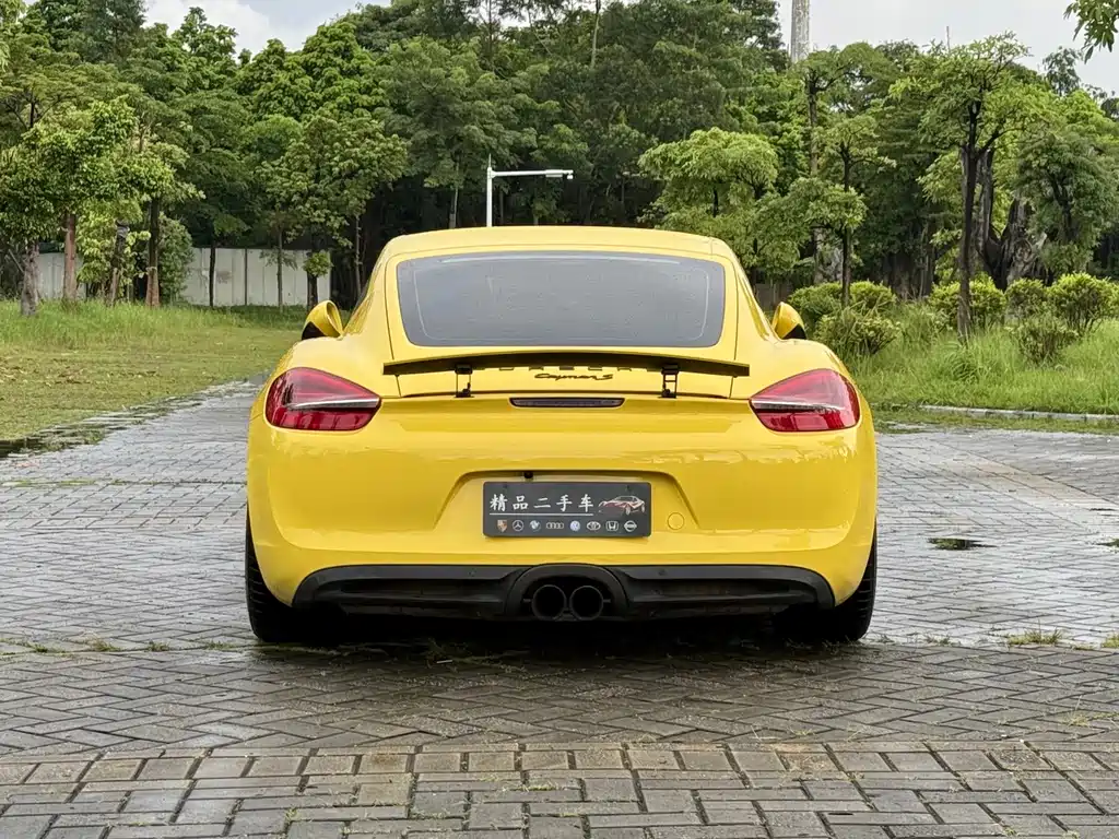 Porsche Cayman — миниатюра 15