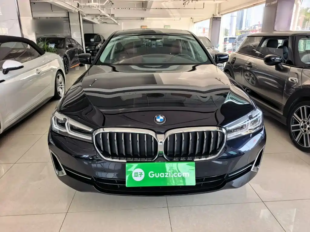 BMW 5 Series — миниатюра 3