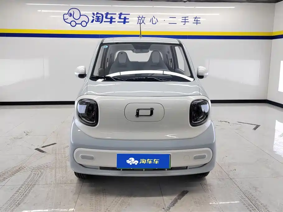 BESTUNE PENTIUM PONY