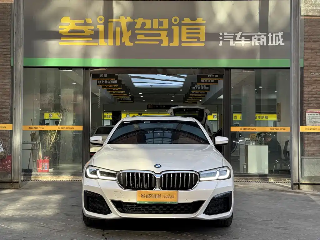 BMW 5 Series — миниатюра 2