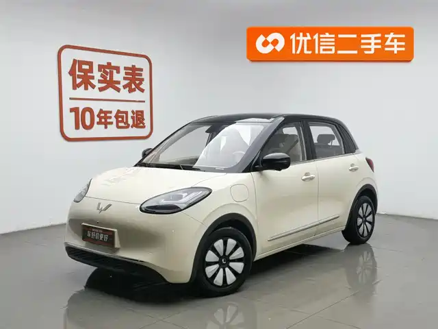 WULING WULING BINGGUO 2025