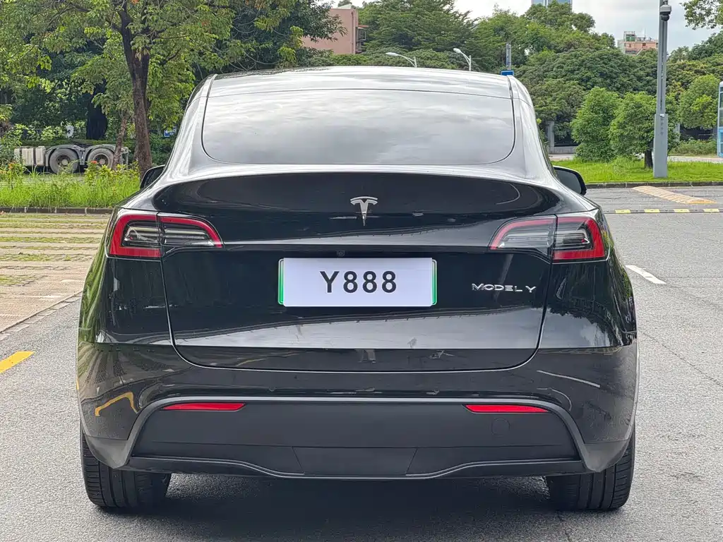 Tesla Model Y — миниатюра 4