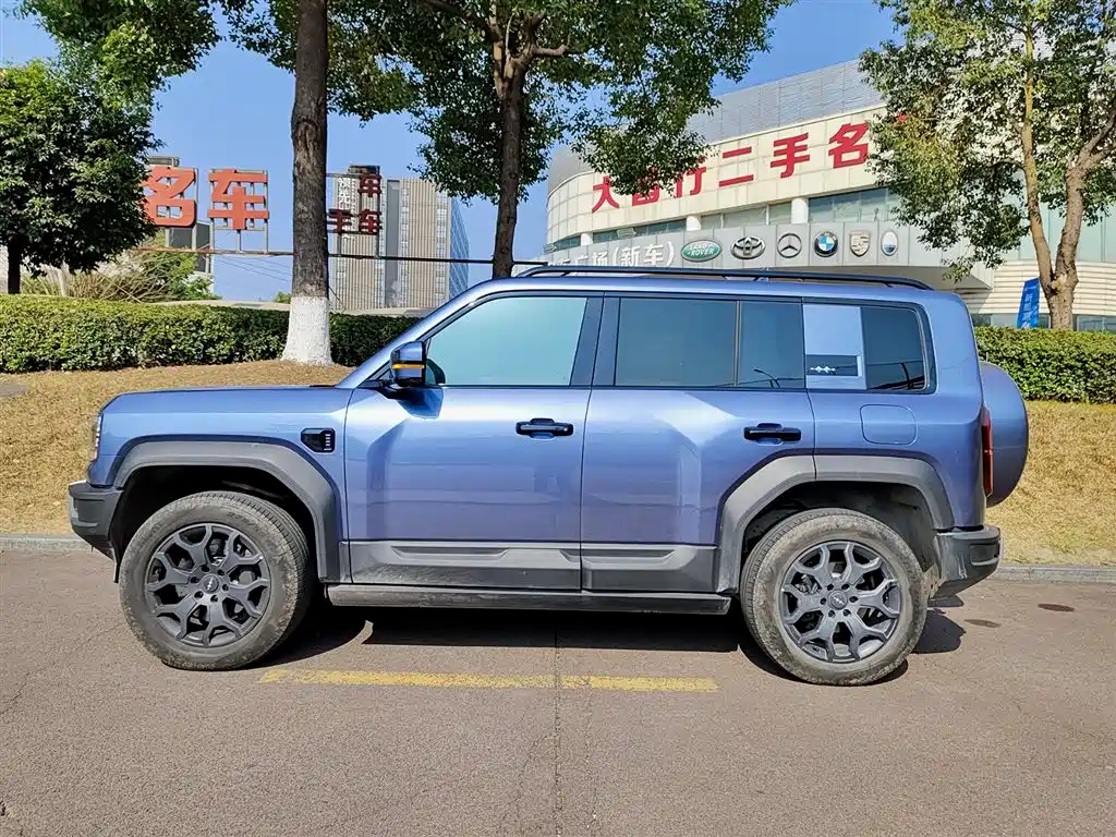 FANG CHENG BAO LEOPARD 5