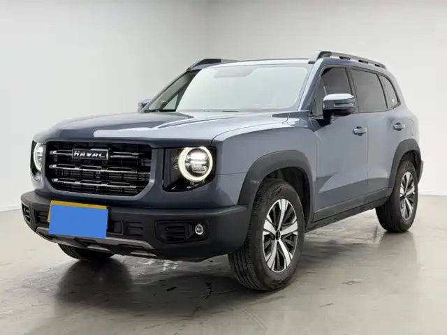 2021 Haval Big Dog