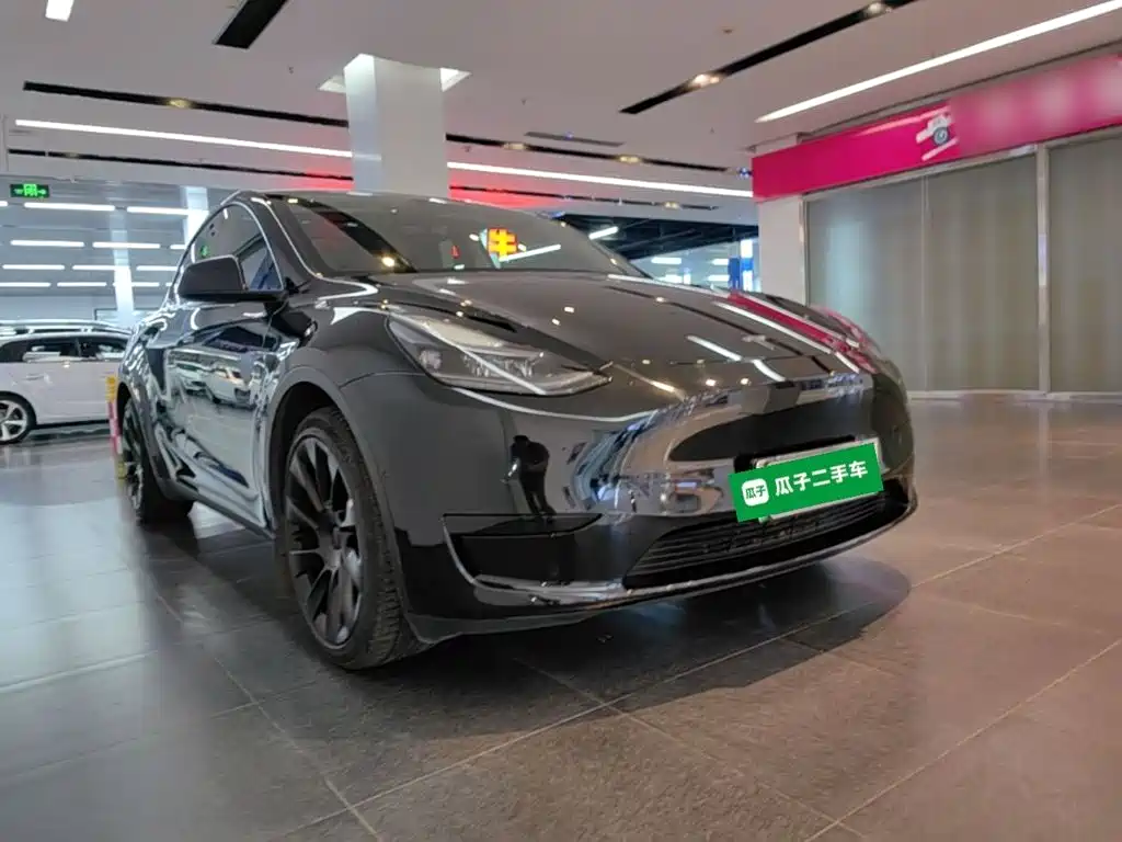 Tesla Model Y — миниатюра 4