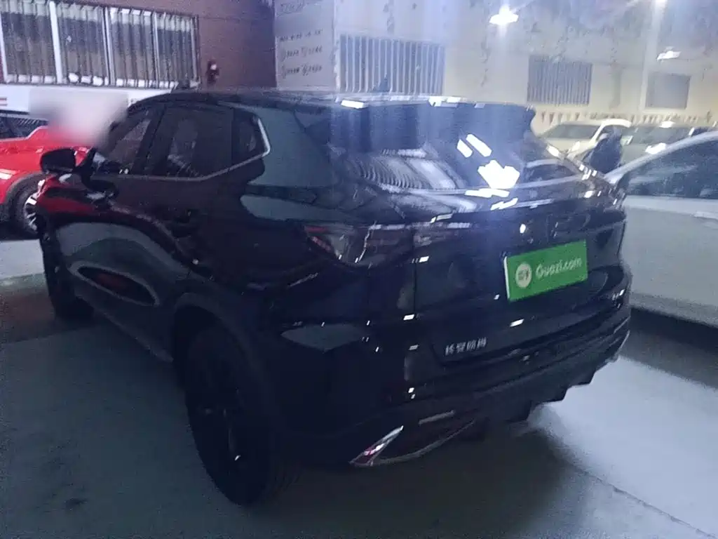 Oshan Oushang X5 PLUS — миниатюра 5