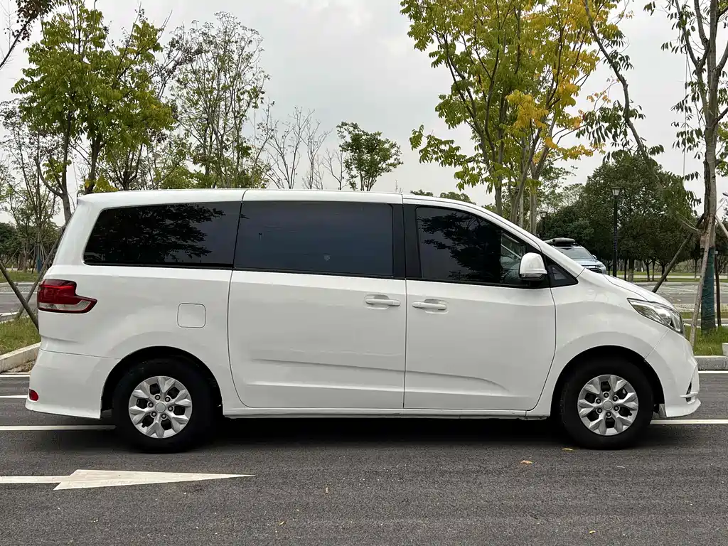 SAIC MAXUS CHASE G10