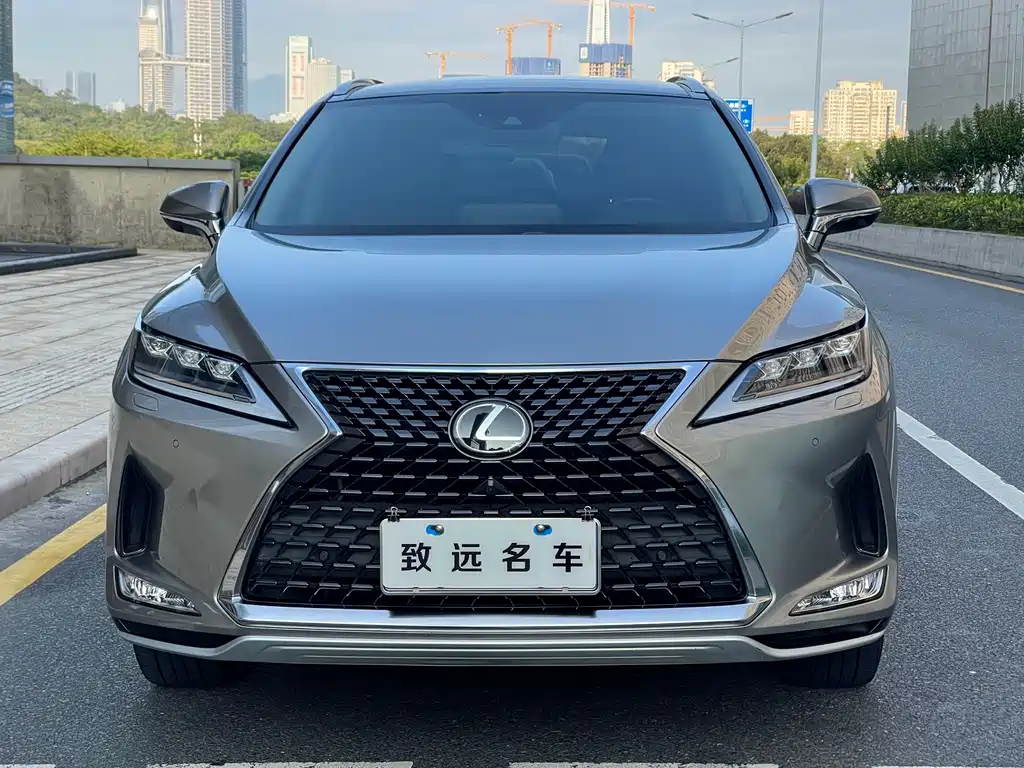 Lexus RX 2020 300 Elegant VI