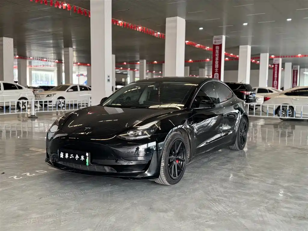 Tesla Model 3 2021