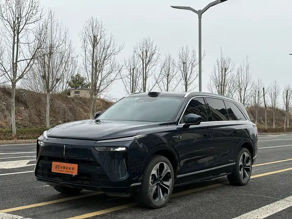 WEI PAI WEI BRAND BLUE MOUNTAIN