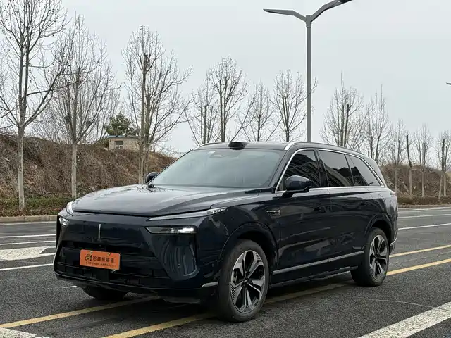 WEI PAI WEI BRAND BLUE MOUNTAIN 2024