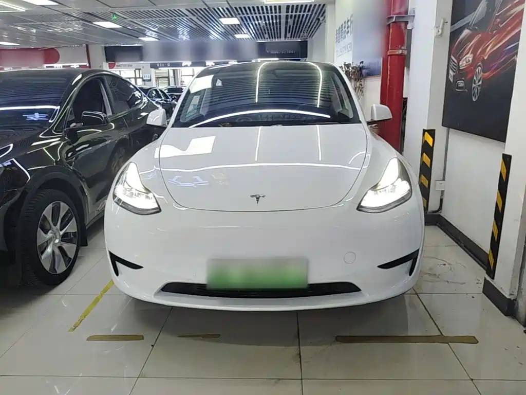 Tesla Model Y — миниатюра 3