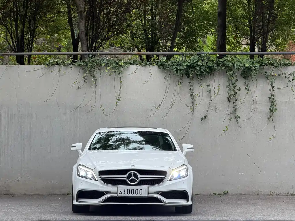 Mercedes-Benz CLS — миниатюра 2