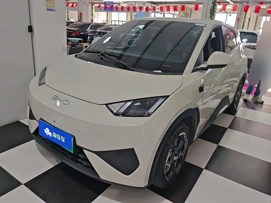 2025 BYD Seagull - zdjęcie 1 z 16