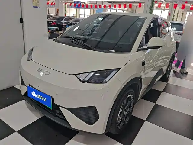 2025 BYD Seagull