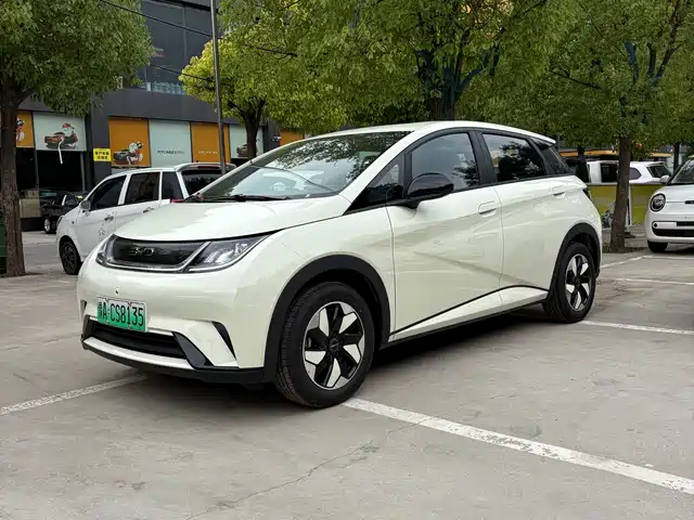 2026 BYD Dolphin