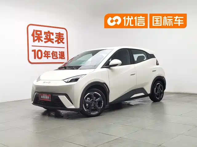 2023 BYD Seagull