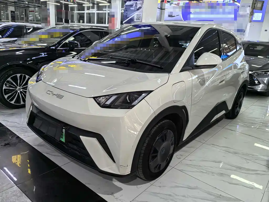 Byd Seagull 2024