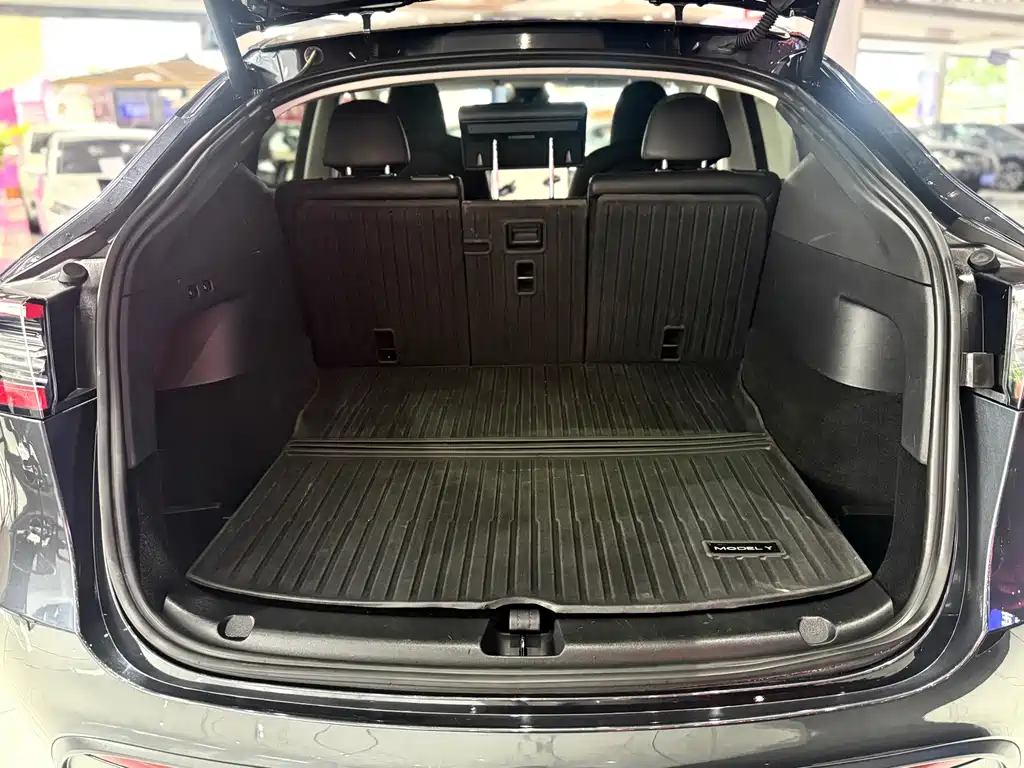 Tesla Model Y — миниатюра 15