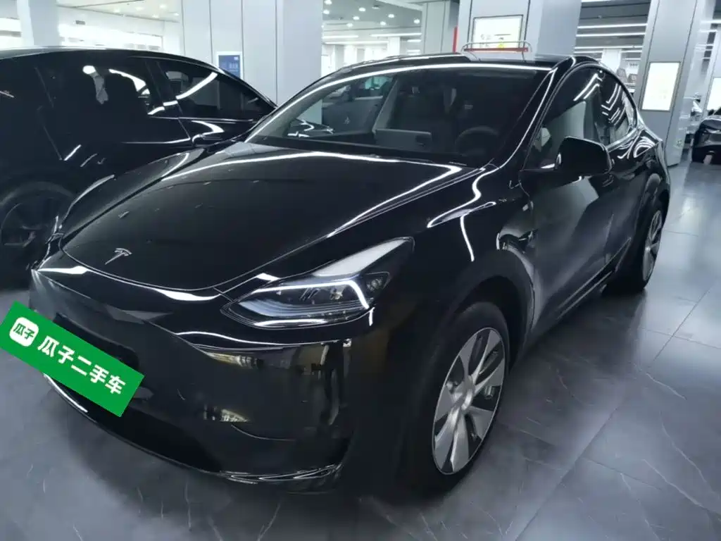 Tesla Model Y — миниатюра 2