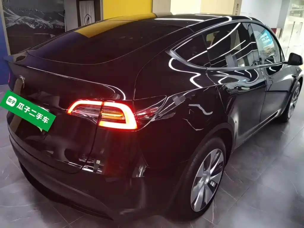 Tesla Model Y — миниатюра 7