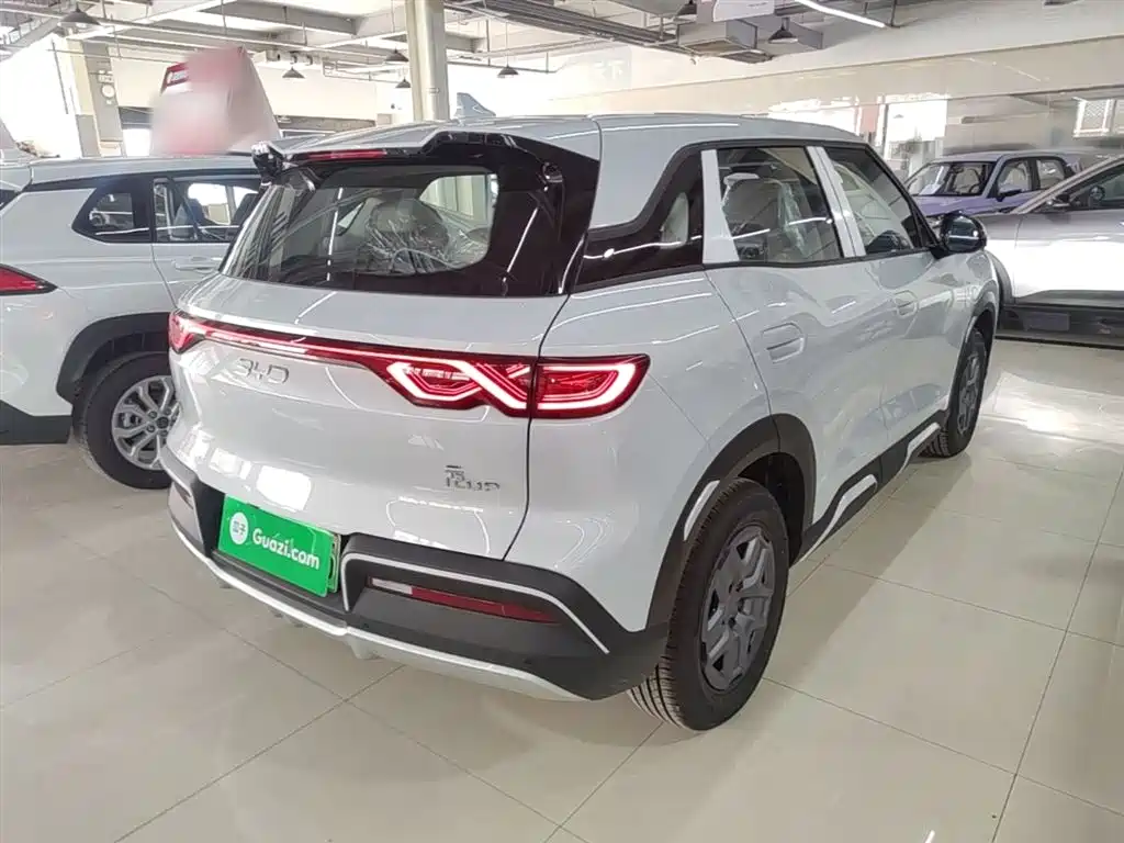 BYD Yuan Up UP 2025 301KM
