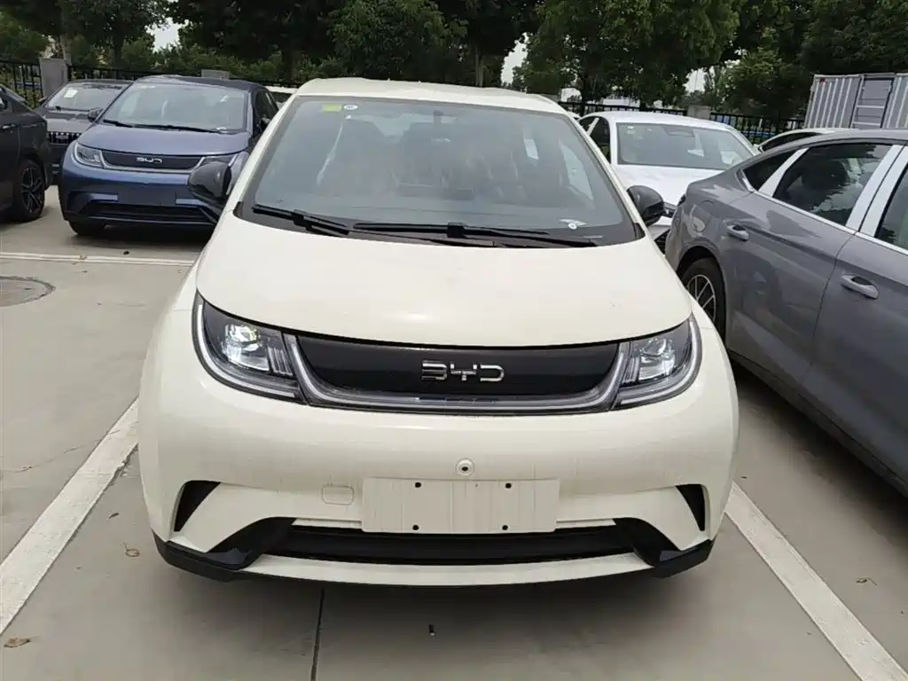 BYD Dolphin 2025 420km Freedom