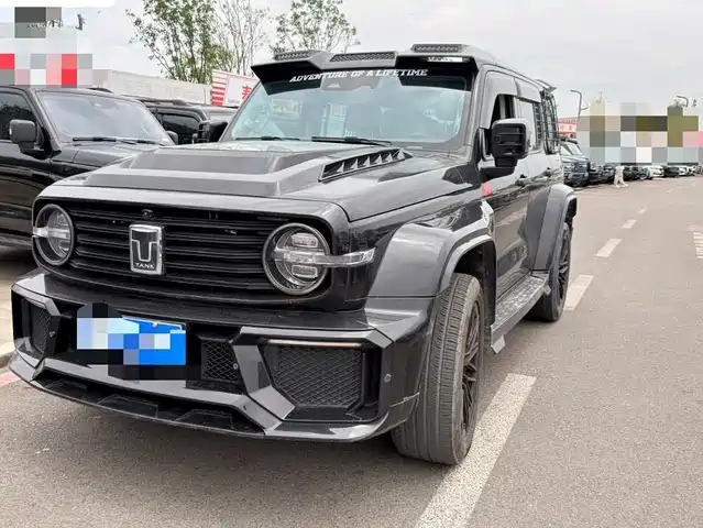 2022 TANK 300