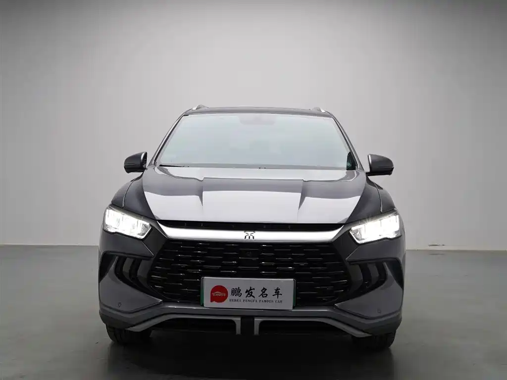 BYD Pro New Energy - фото 2