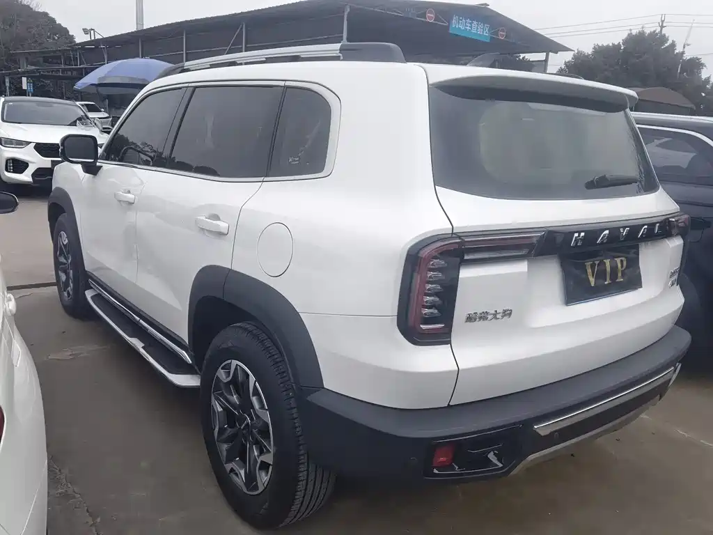 HAVAL BIG DOG