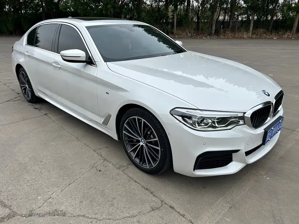 BMW 5 Series — миниатюра 2
