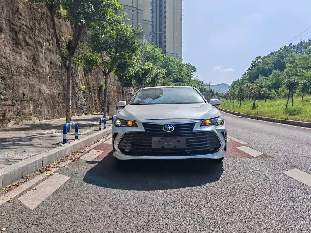 Toyota Avalon 2019 2.0L Luxury VI