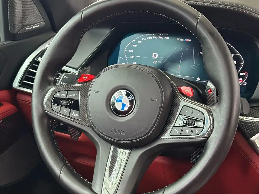 BMW X5 M — миниатюра 20