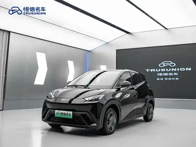 BYD SEAGULL 2024