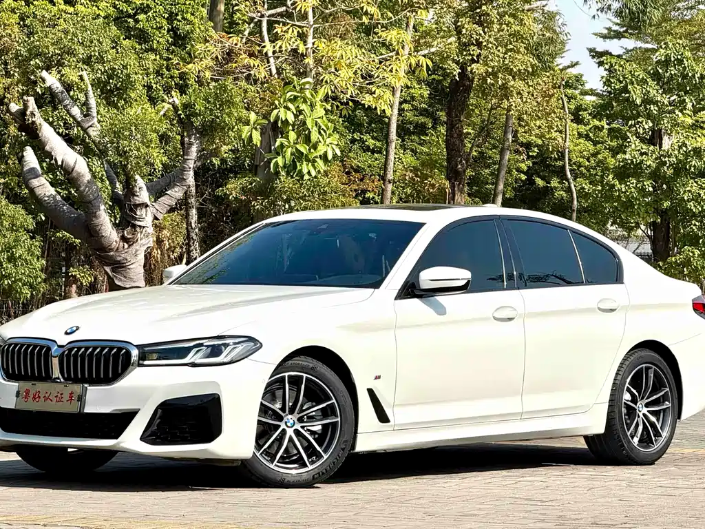 BMW 5 SERIES