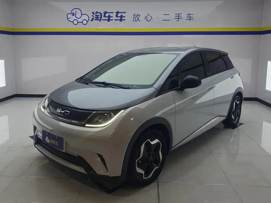Byd Dolphin 2022