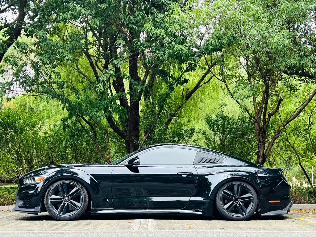 Ford Mustang — миниатюра 3