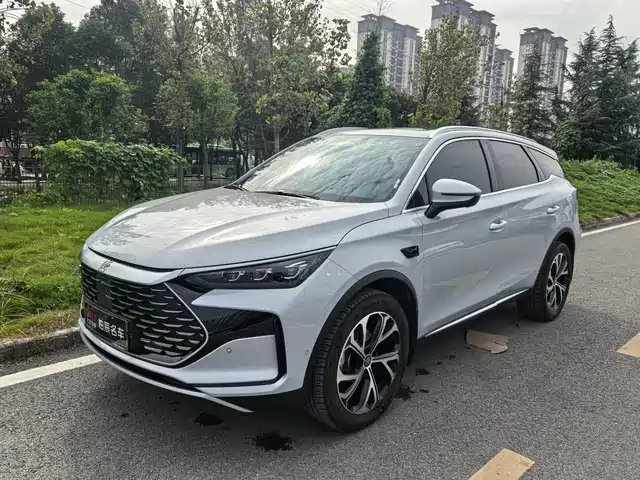 BYD TANGXIN ENERGY 2025