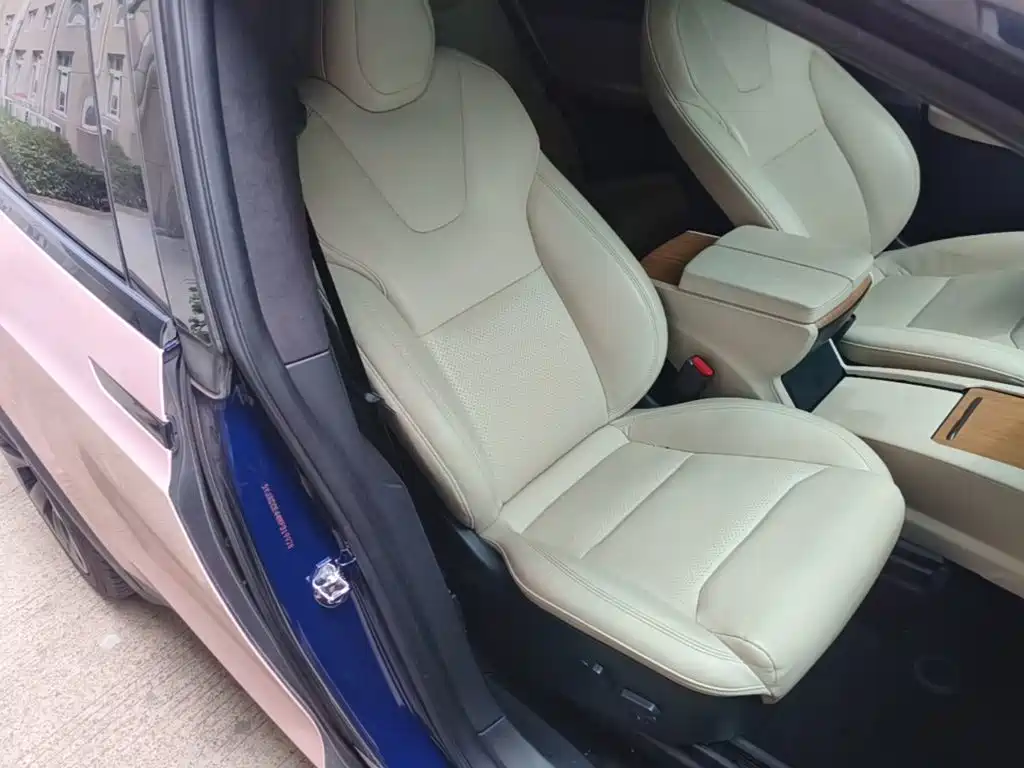 Tesla Model X — миниатюра 25